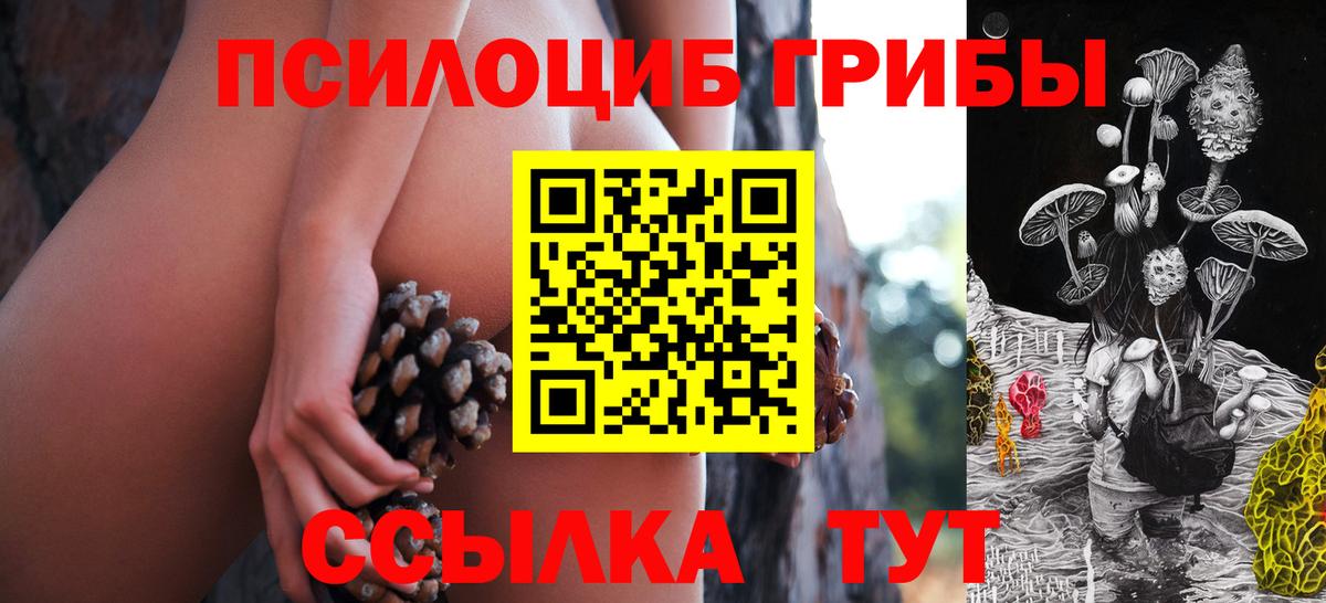 Галлюциногенные грибы мухоморы  Галлюциногенные грибы Psilocybe  Вход с VPN  Кизляр 