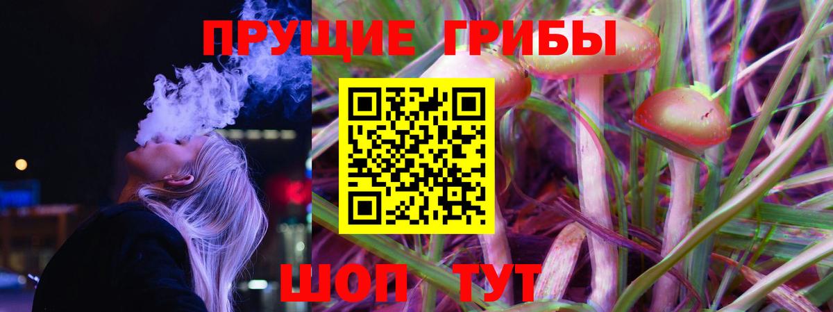 Псилоцибиновые грибы Cubensis Кизляр